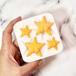 Molde de Silicona Estrellas Culonas Conicet